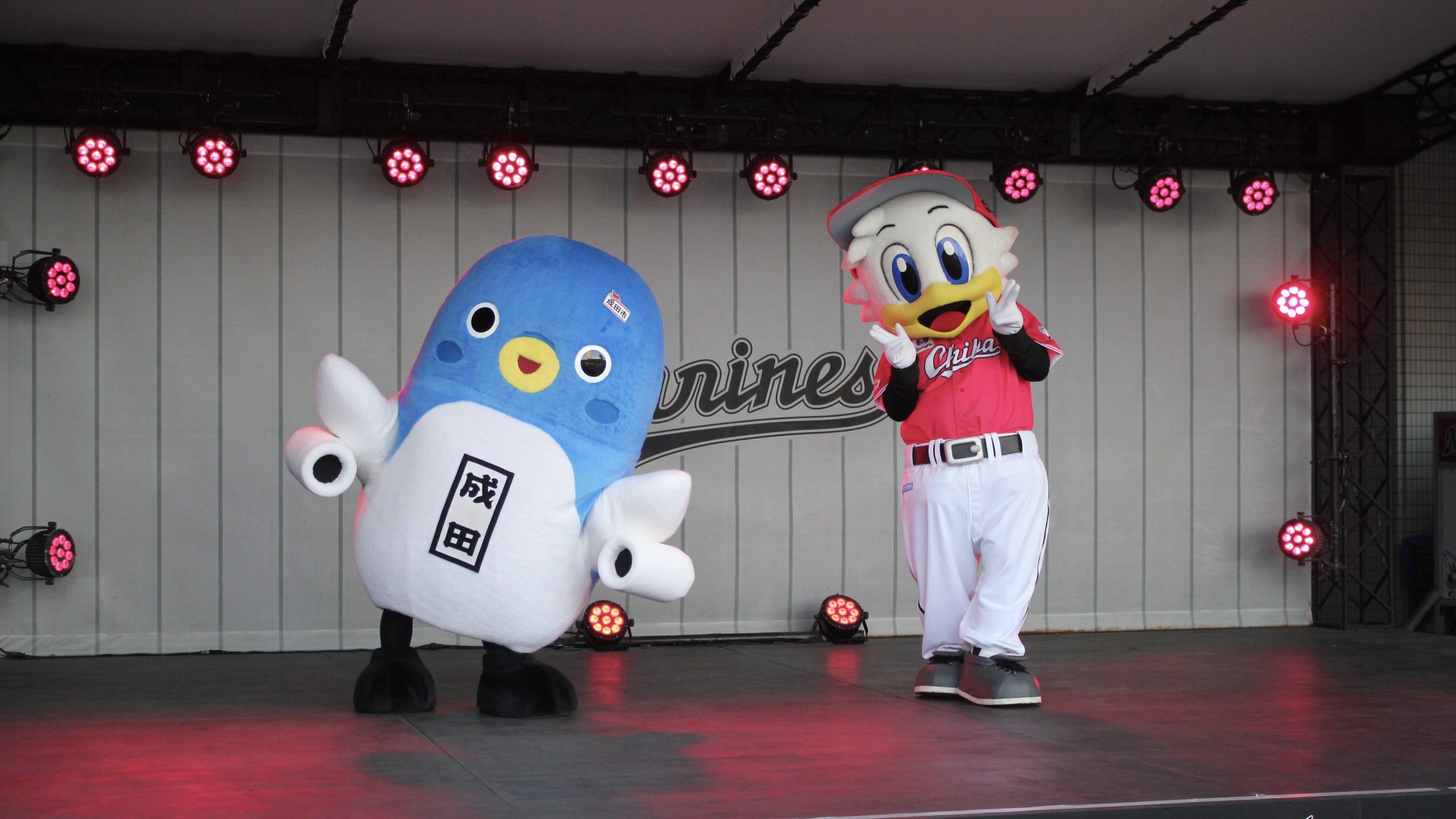 千葉ロッテマリーンズ 2010 チャンピオンズ 下敷き 強う t44