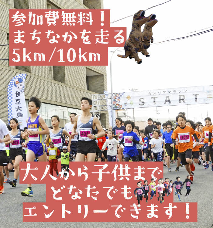 伊豆カメリアマラソン