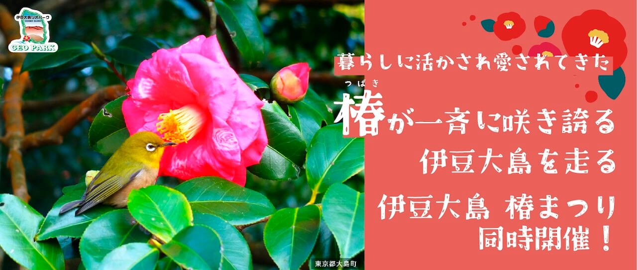 伊豆カメリアマラソン